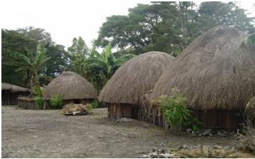 Kehidupan Budaya Papua  Anis Nuur'F